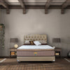 Set Spring Bed Airland 505 Essentials - Deluxe