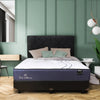 Set Spring Bed Central Gold Almond - Cellini 20 Serela