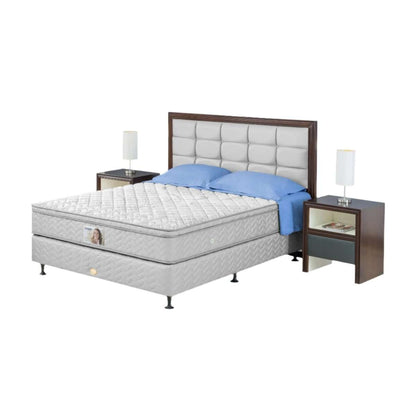Set Spring Bed Guhdo Standard Plush Top - Prospine Metropolis