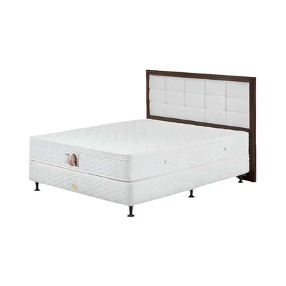 Set Spring Bed Guhdo Standard Plush Top - Prospine Metropolis