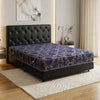 Set Spring Bed 2-in-1 Serenity Superstar - Vinca