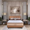 Set Spring Bed Airland Adagio Air - Gold New Algerian
