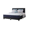 Set Spring Bed Serta X'treme - Denver