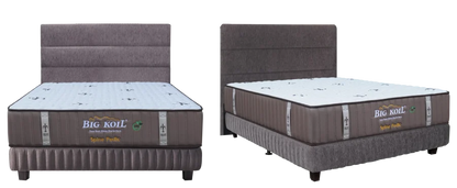 Kasur Spring Bed Big Koil Spine Pedic (Back Support)