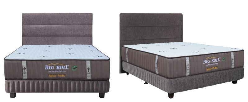 Kasur Spring Bed Big Koil Spine Pedic (Back Support)