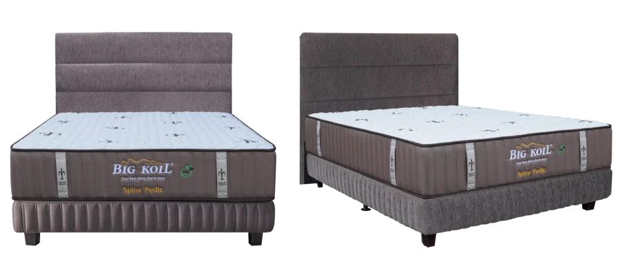 Kasur Spring Bed Big Koil Spine Pedic (Back Support)