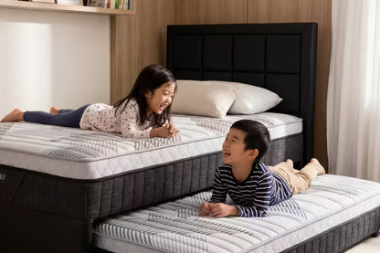 Set Spring Bed 2-in-1 Comforta Star Family - Duo