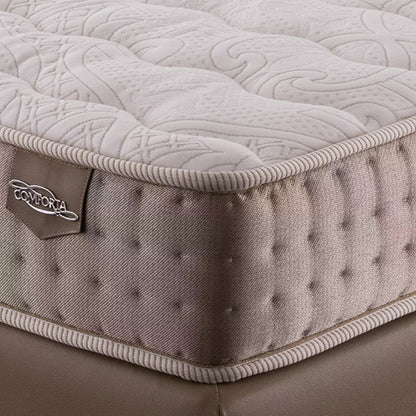 Set Kasur Latex Comforta Solid Spine - Comfort Tendre