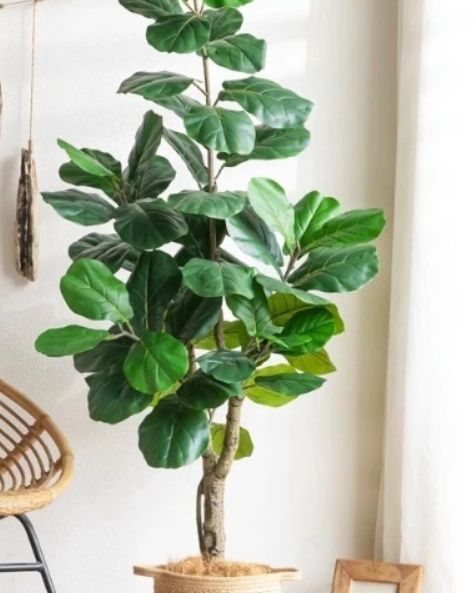 Pohon Daun Ketapang Artificial